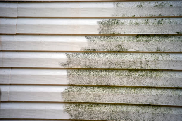 Reliable Wellsville, OH Siding Installation & Repair Solutions